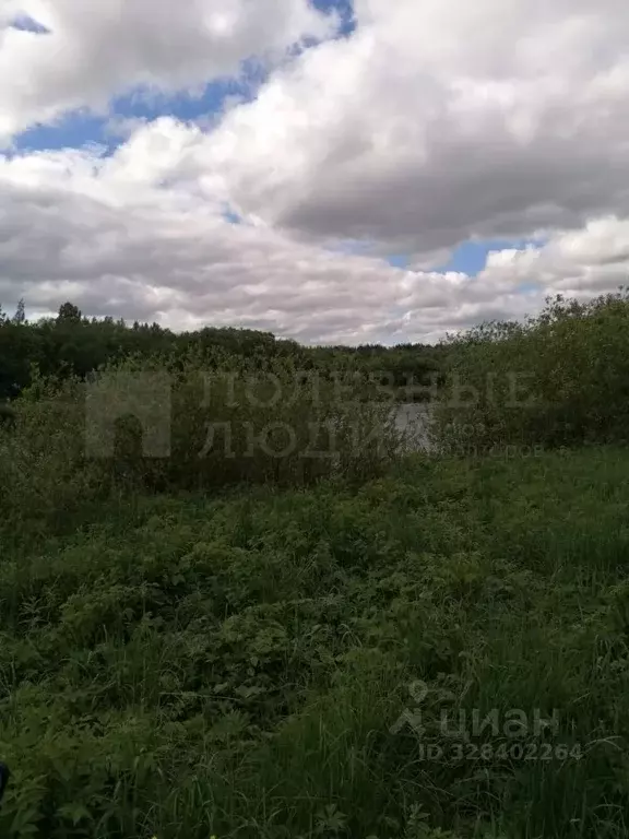 Участок в Новгородская область, Маловишерский район, Бургинское с/пос, ... - Фото 1