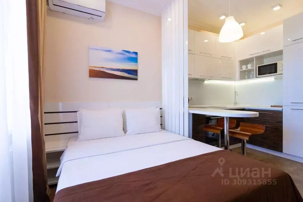 1-к кв. Краснодарский край, Сочи ул. Просвещения, 155/2 (24.0 м) - Фото 1