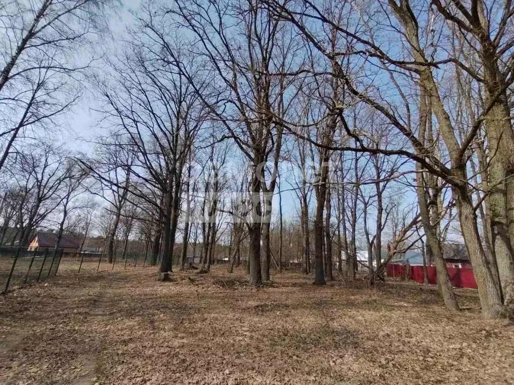 Участок в Калужская область, Дзержинский район, Льва Толстого с/пос, ... - Фото 1