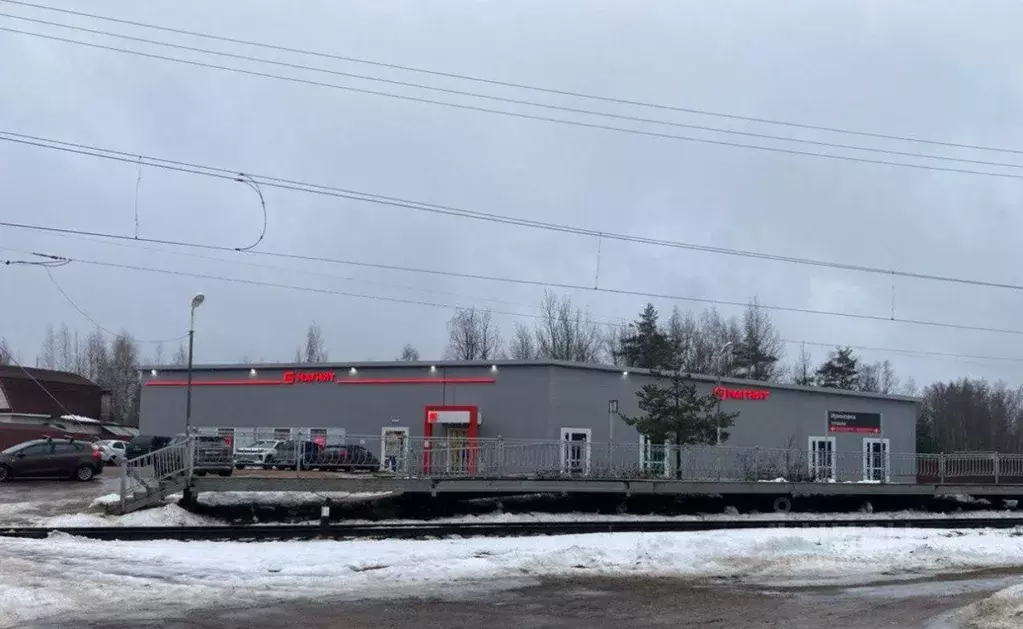 Помещение свободного назначения в Ленинградская область, Всеволожский ... - Фото 1