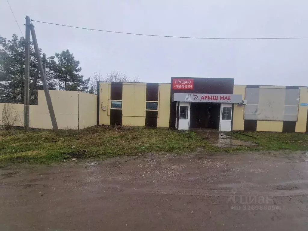 Помещение свободного назначения в Татарстан, Арск ул. Абдуллина, 3 (68 ... - Фото 1