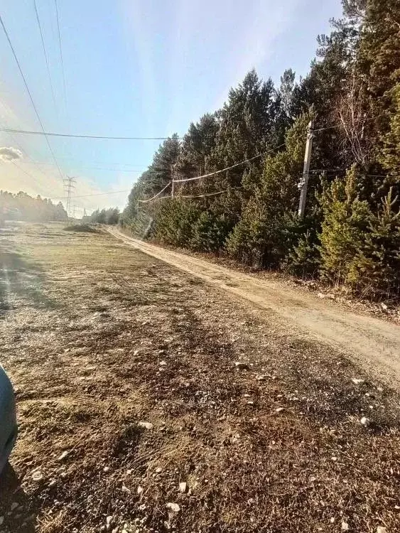 Участок в Иркутская область, Иркутский муниципальный округ, Маркова рп ... - Фото 2