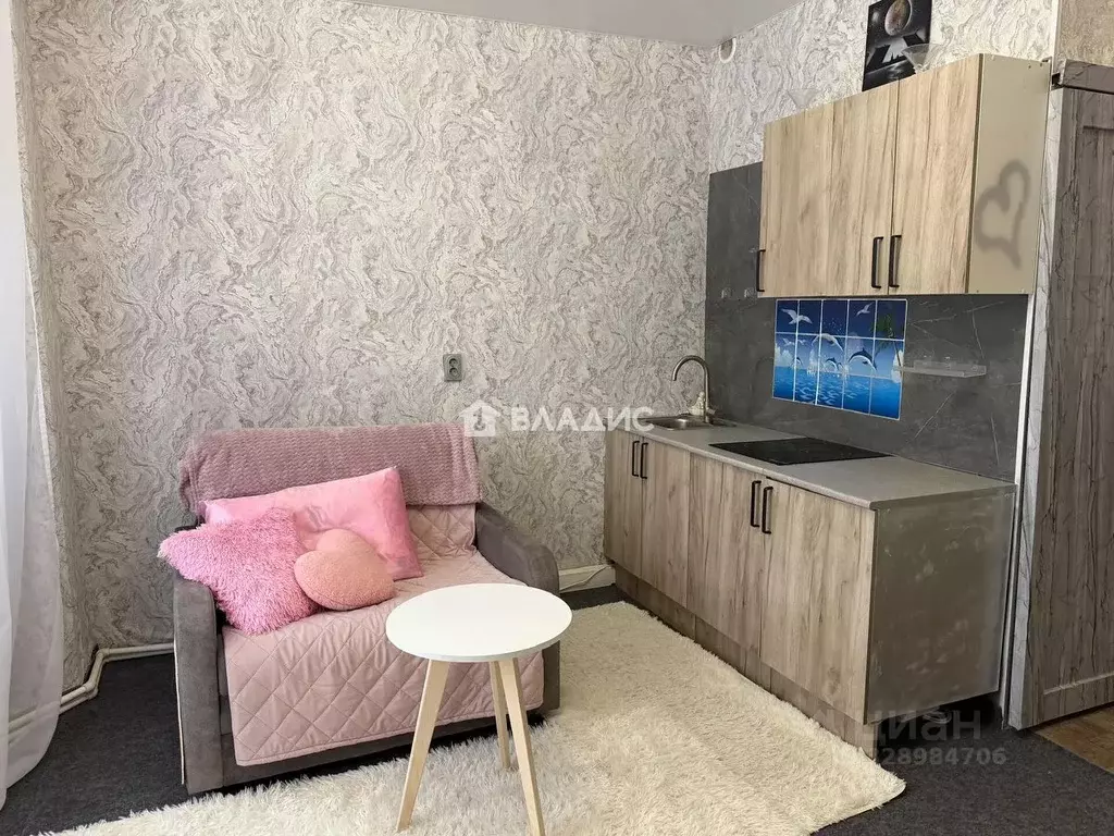 Студия Московская область, Богородский городской округ, д. Новая ... - Фото 2