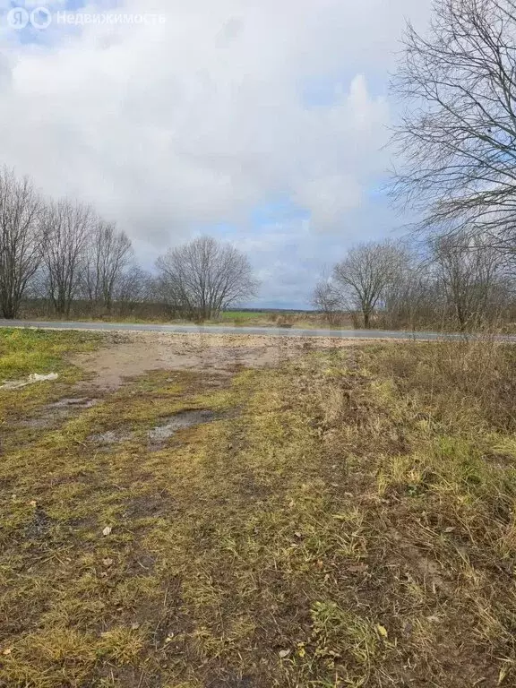 Участок в Оршанский район, Марковское сельское поселение, деревня ... - Фото 2