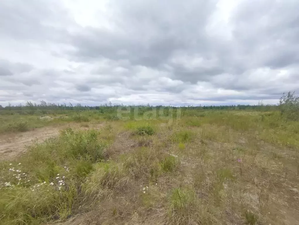 Участок в Ямало-Ненецкий АО, Новый Уренгой ул. 9-я Запрудная, 9 (6.0 ... - Фото 1