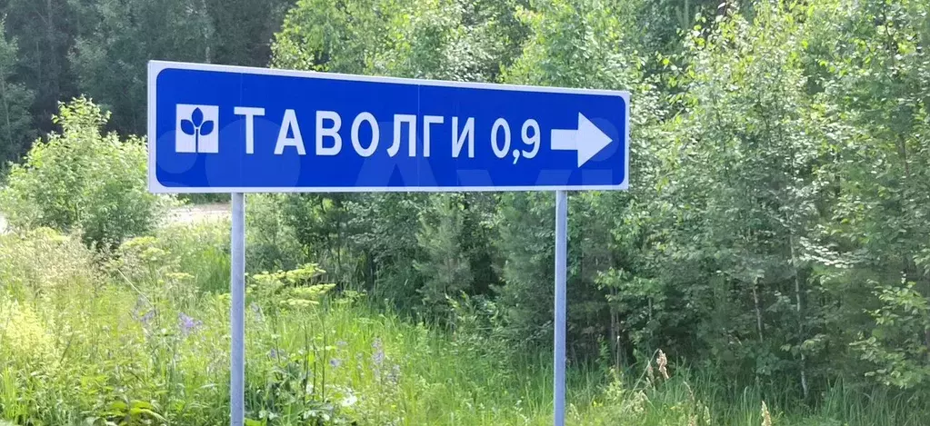 Участок 10 сот. (СНТ, ДНП) - Фото 0