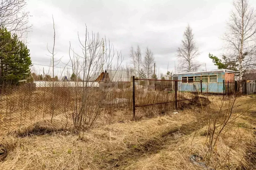Участок в Ханты-Мансийский АО, Сургут Ручеек садовое товарищество, ул. ... - Фото 0