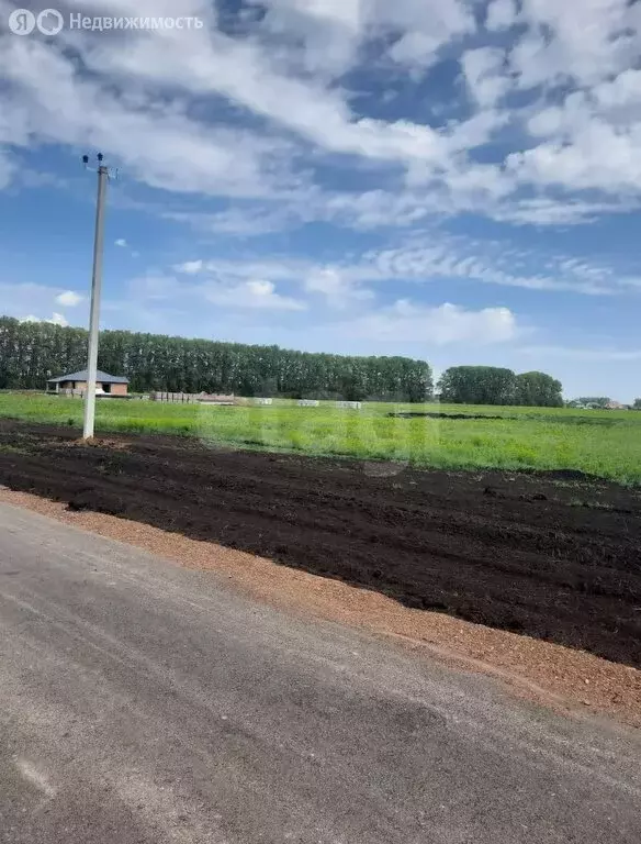Участок в Кемерово, Журавлёвская улица (15 м) - Фото 0