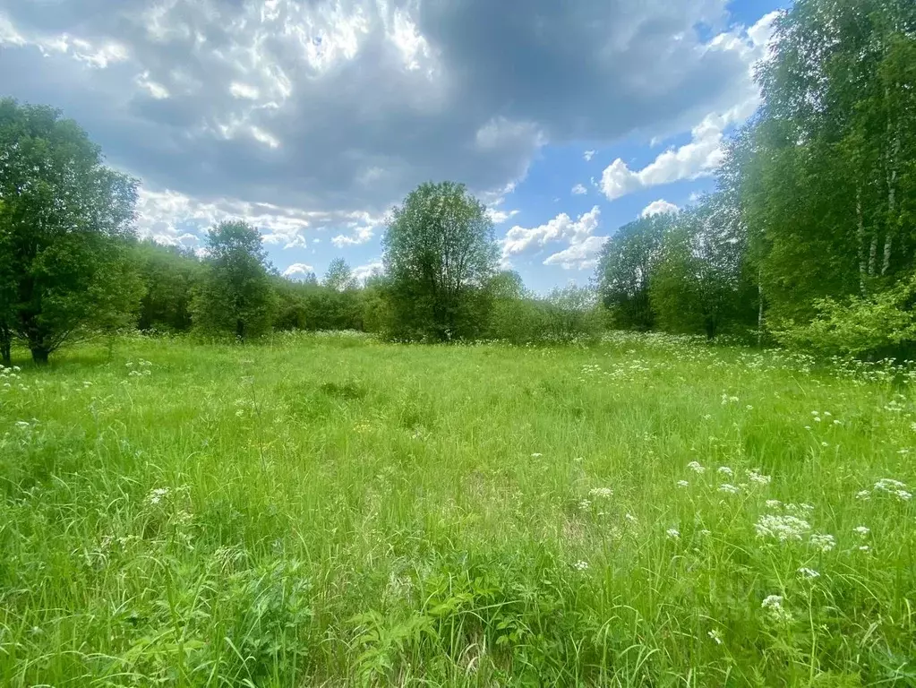 Участок в Владимирская область, Александровский муниципальный округ, ... - Фото 2
