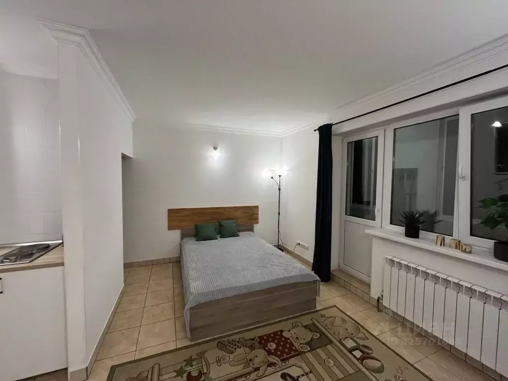 Студия Московская область, Раменское Высоковольтная ул., 22 (28.4 м) - Фото 1