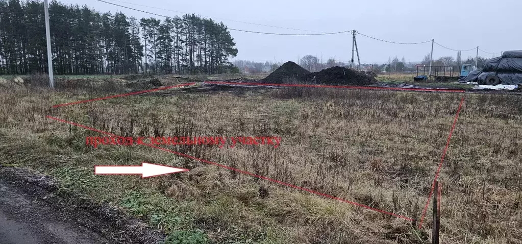 Участок в Московская область, Луховицы муниципальный округ, д. ... - Фото 1