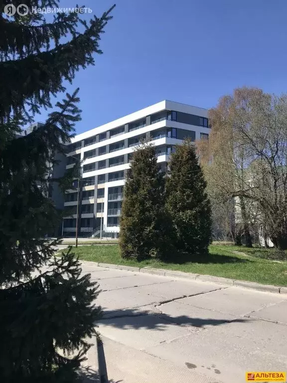 Офис (41 м) - Фото 1