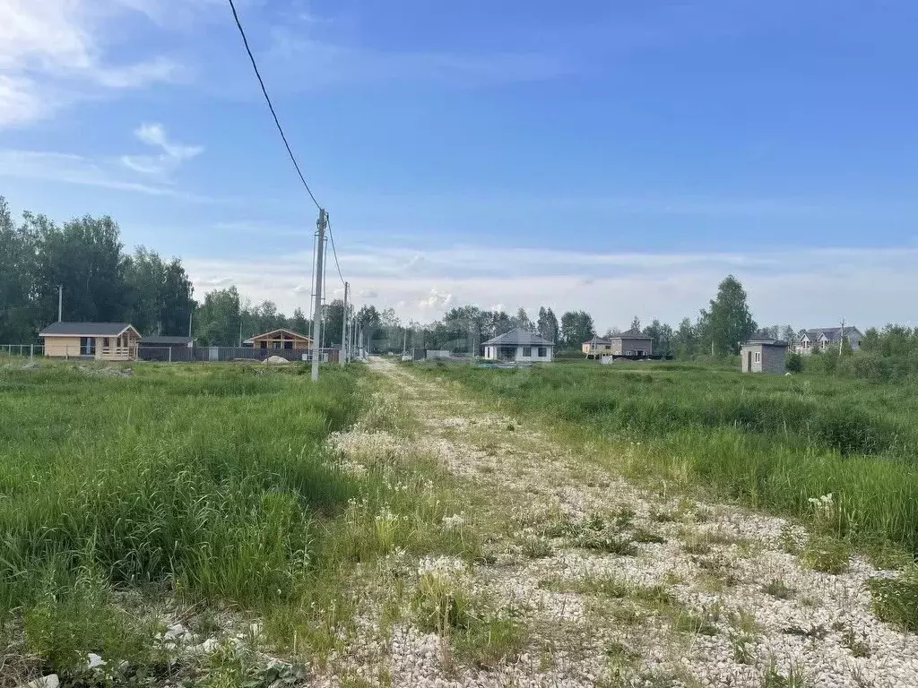 Участок в Московская область, Богородский городской округ, д. ... - Фото 1