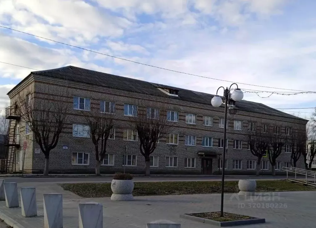 Помещение свободного назначения в Новгородская область, Окуловка ул. ... - Фото 1
