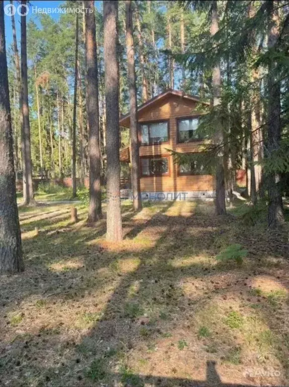 Участок в Нижегородская область, Городецкий муниципальный округ, ... - Фото 2