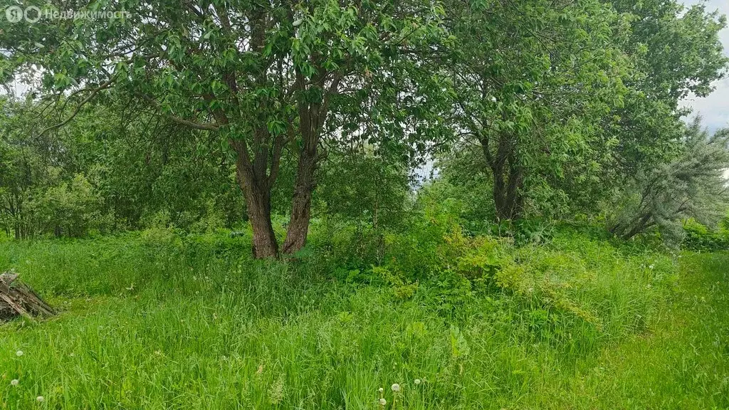 Участок в Тверская область, Конаковский муниципальный округ, СНТ Нива, ... - Фото 1
