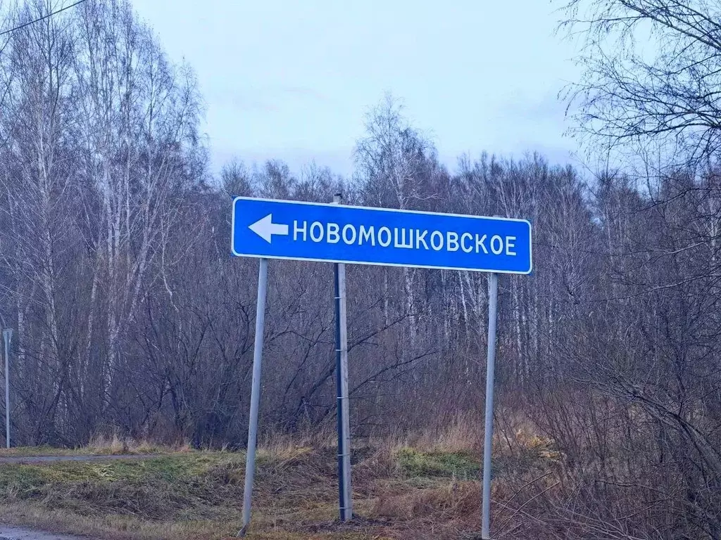 Дом в Новосибирская область, Мошковский район, с. Новомошковское ул. ... - Фото 1