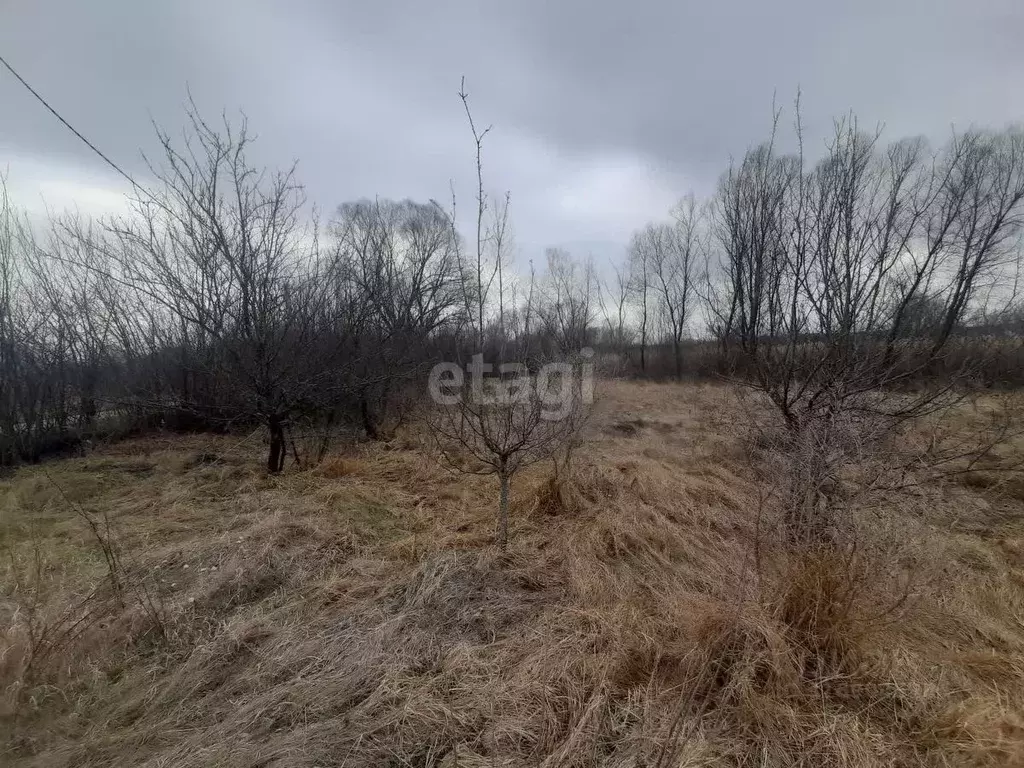 Участок в Белгородская область, Валуйский муниципальный округ, с. ... - Фото 1