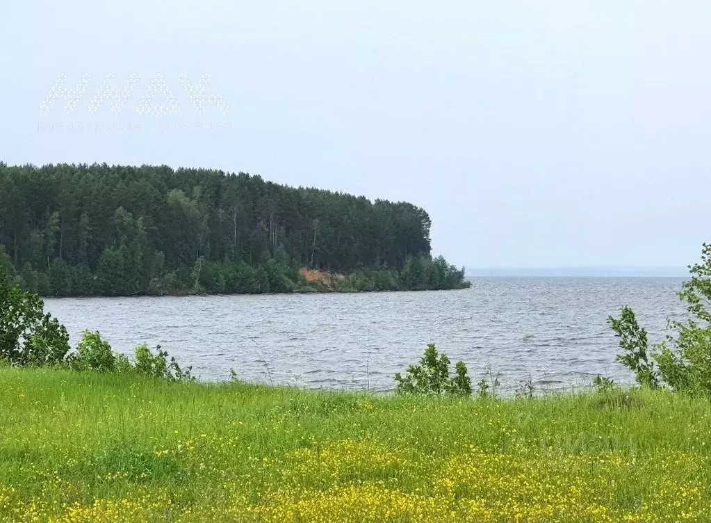 Участок в Нижегородская область, Сокольский городской округ, д. ... - Фото 0