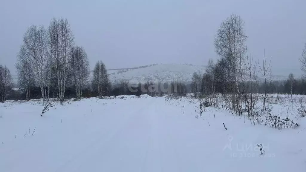 Участок в Кемеровская область, Новокузнецкий муниципальный округ, с. ... - Фото 0