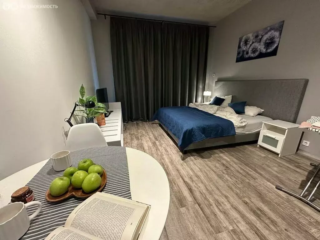 Квартира-студия: Санкт-Петербург, набережная Макарова, 60 (32.5 м) - Фото 2