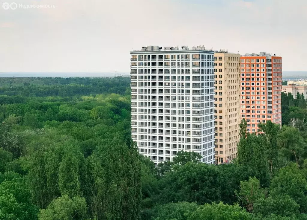 1-комнатная квартира: Воронеж, улица Ломоносова, 116/25 (54.97 м) - Фото 2