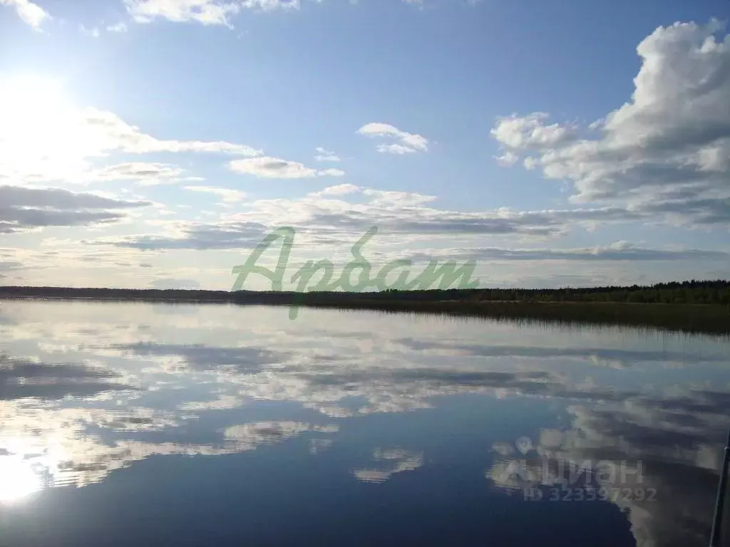 Участок в Тверская область, с. Лесное  (62837.9 сот.) - Фото 1