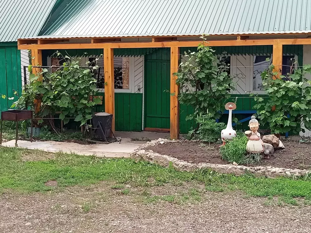 Дом в Башкортостан, Мелеузовский район, с. Нугуш Высокая ул., 1 (40 м) - Фото 2