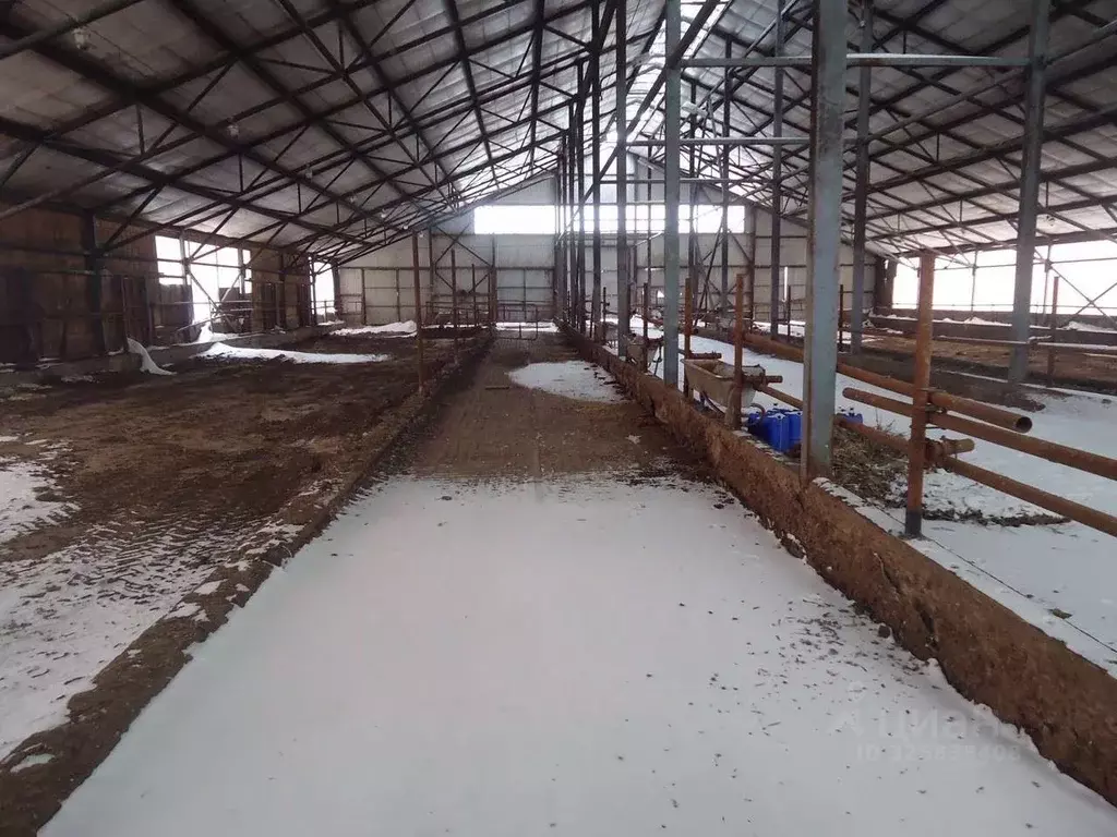 Производственное помещение в Белгородская область, Белгородский район, ... - Фото 2