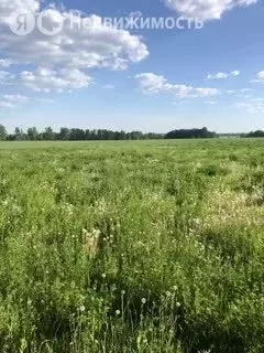 Участок в Брянский район, Глинищевское сельское поселение, село ... - Фото 0