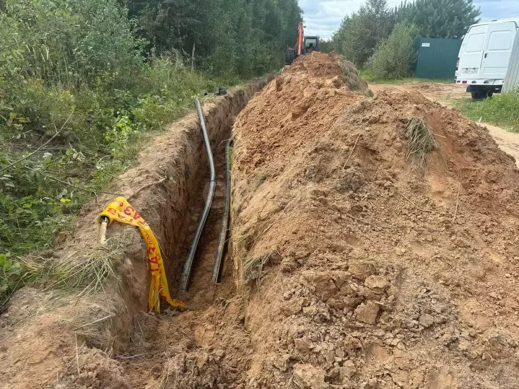 Участок в Костромская область, Красносельский район, Шолоховское ... - Фото 1