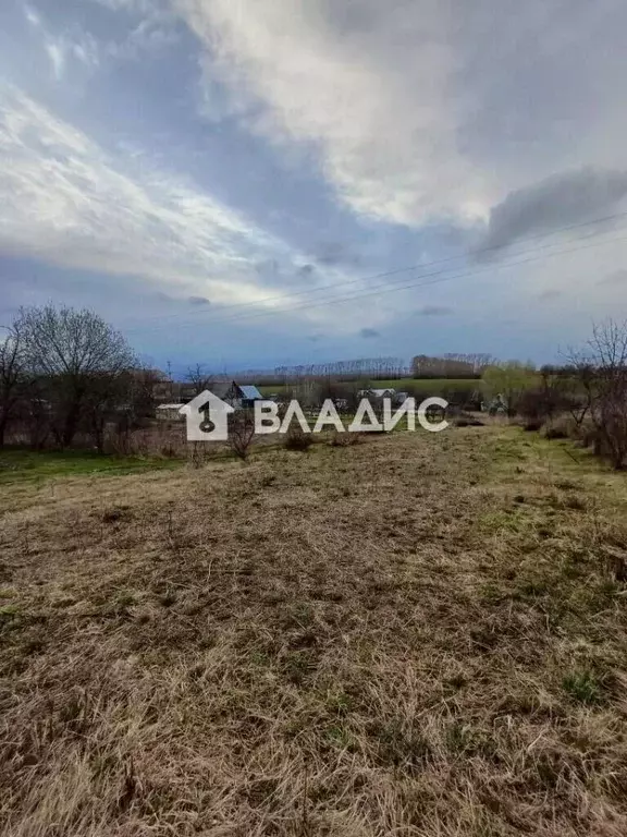 Участок в Владимирская область, Суздальский район, с. Новоалександрово ... - Фото 1