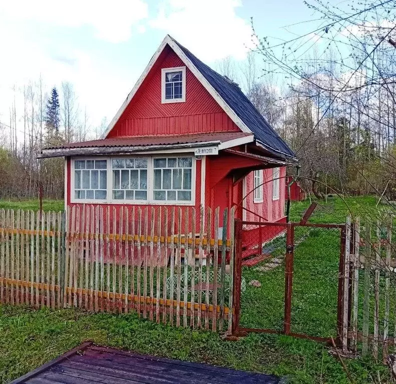 Дом в Мшинское сельское поселение, садоводческий массив Мшинская, ... - Фото 1