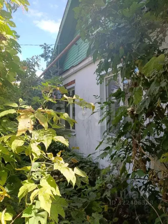 Дом в Белгородская область, Вейделевский район, пос. Викторополь ул. ... - Фото 1