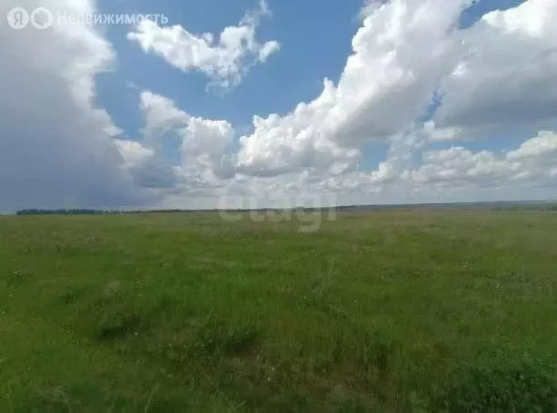 Участок в Московская область, городской округ Серебряные Пруды, ... - Фото 0