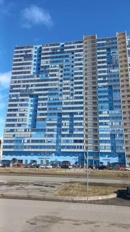 Студия Санкт-Петербург просп. Королева, 59к1 (21.4 м) - Фото 0