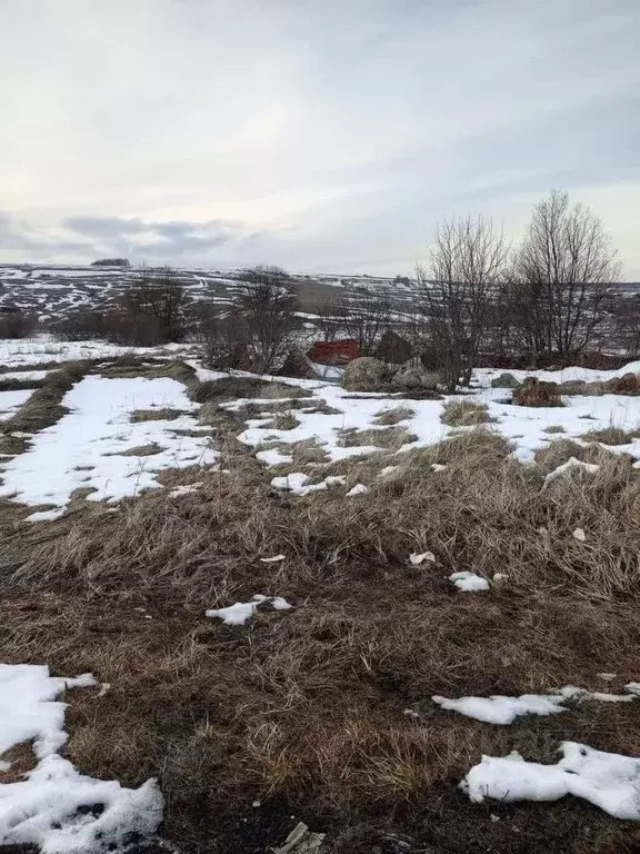 Участок в Мордовия, Саранск городской округ, с. Грибоедово ул. ... - Фото 1