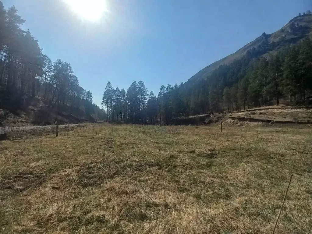 Участок в Алтай, Майминский район, с. Манжерок Ленинская ул. (10.0 ... - Фото 1