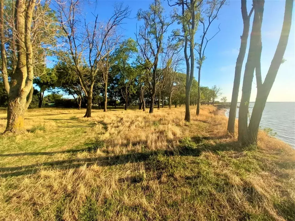 Участок в Краснодарский край, Ейский район, Кухаривское с/пос, с. ... - Фото 2