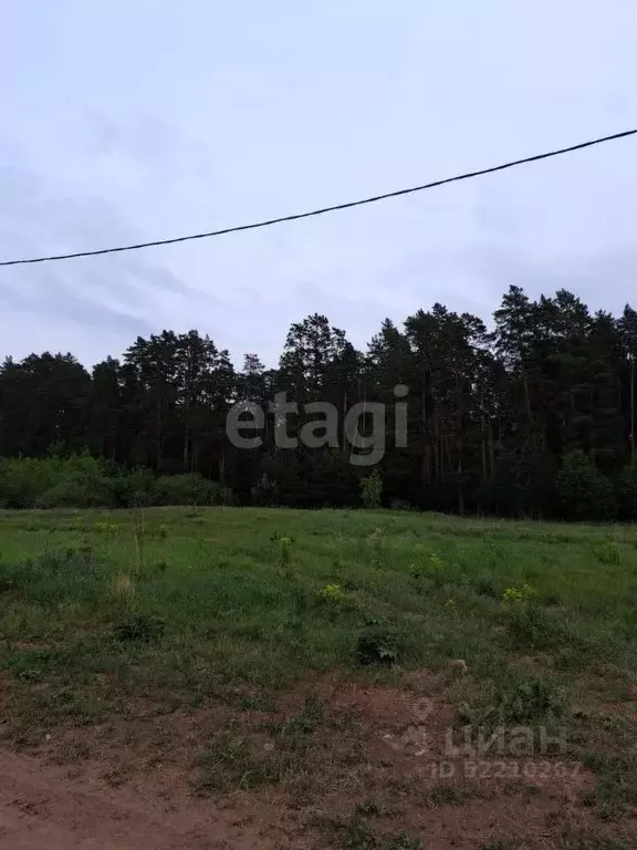 Участок в Татарстан, Тукаевский район, д. Малая Шильна ул. Центральная ... - Фото 1