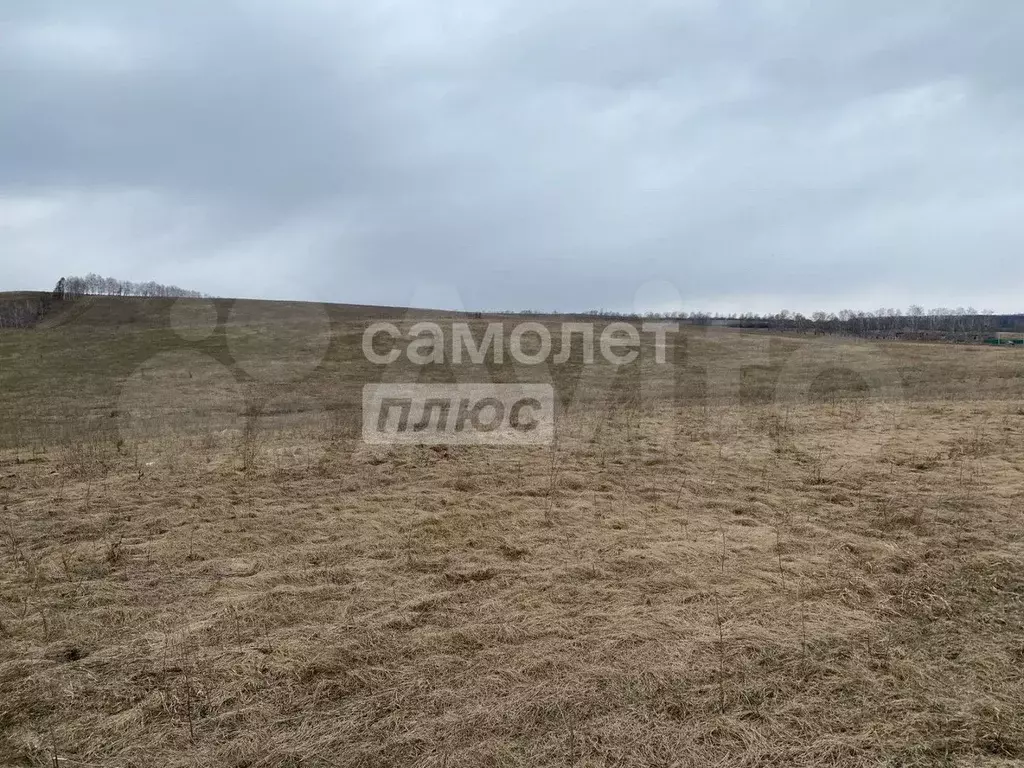 Участок 8 сот. (ИЖС) - Фото 1
