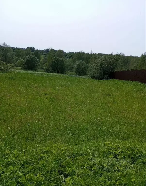 Участок в Московская область, Клин городской округ, с. Троицкое 19 ... - Фото 1