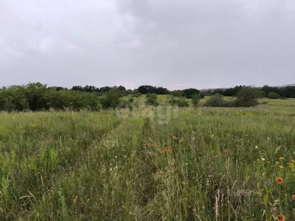 Участок в Белгородская область, Белгородский район, Бессоновское ... - Фото 1