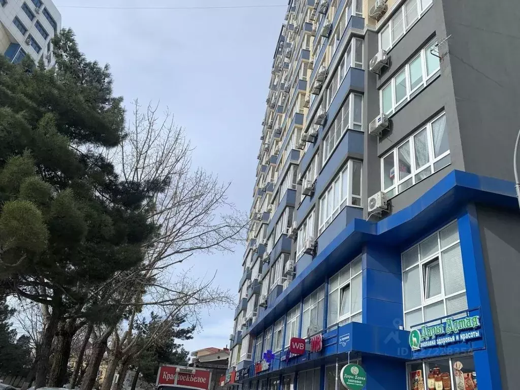 Студия Краснодарский край, Анапа Астраханская ул., 71А (27.0 м) - Фото 1