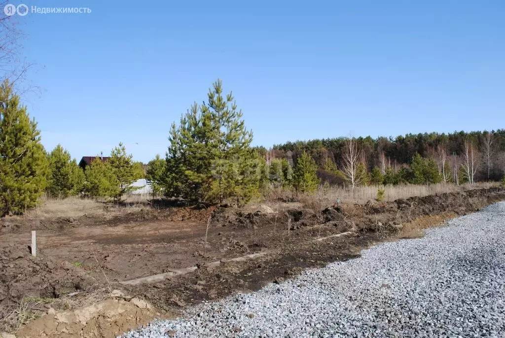 Участок в Новосибирский район, Морской сельсовет, село Ленинское ... - Фото 0