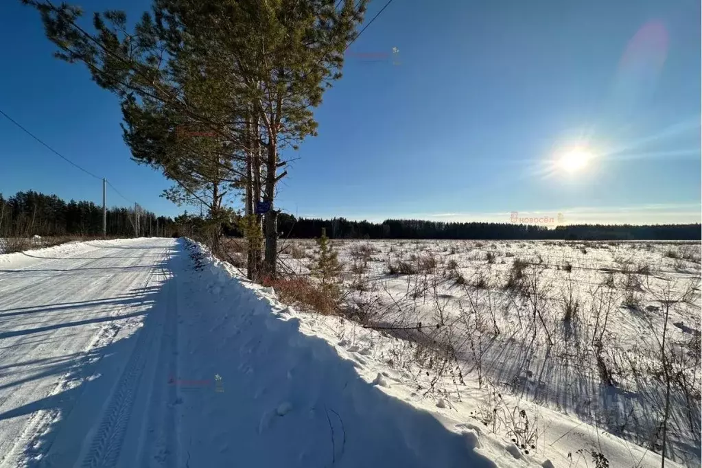 Участок в Свердловская область, Полевской городской округ, с. ... - Фото 0