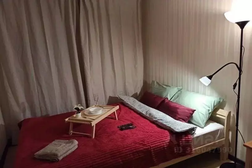 Студия Новосибирская область, Новосибирск ул. Блюхера, 54 (18.0 м) - Фото 0