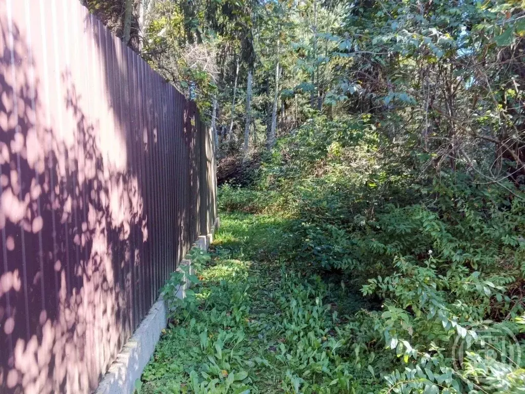 Участок в Ленинградская область, Выборгский район, Красносельское ... - Фото 2