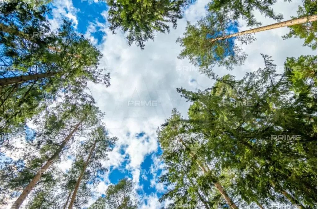 Участок 18,4 сот. (ИЖС) - Фото 0