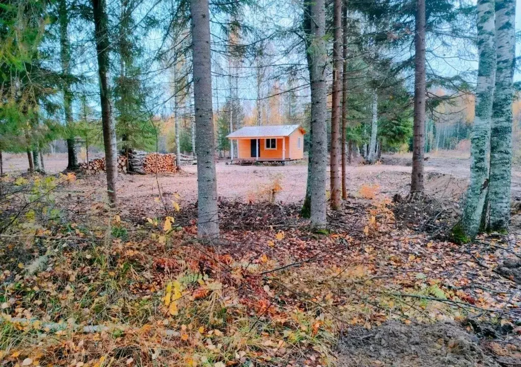 Дом в Ленинградская область, Лодейнопольский район, Янегское с/пос, ... - Фото 1